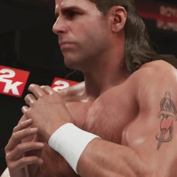 WWE 2k15 Screenshots E3