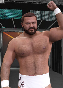 Wwe arn anderson 2025