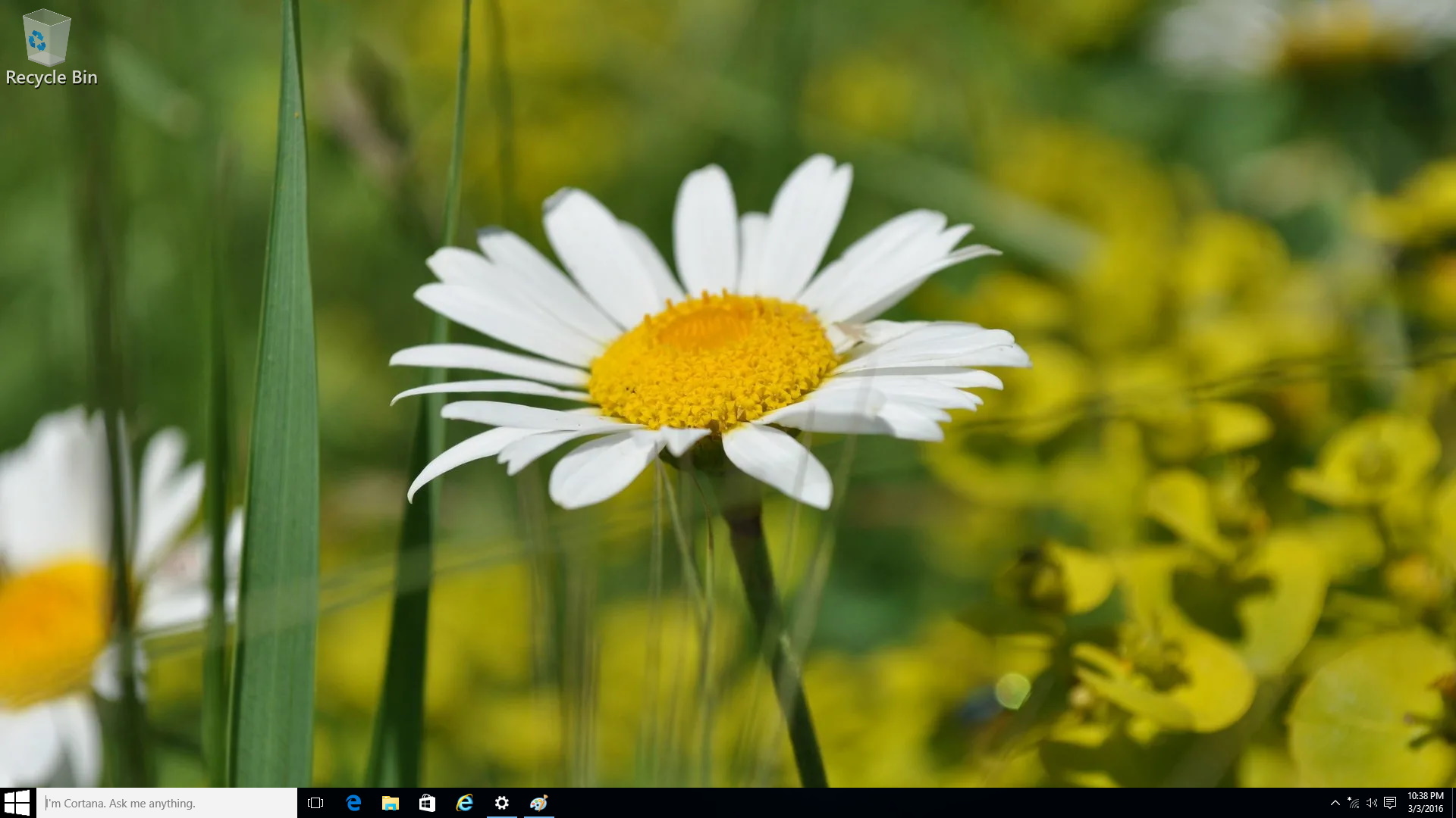 windows 8 default desktop wallpaper