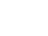 Paracomm Electronics, Inc.