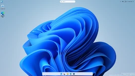 Windows 11 older version