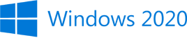 Windows 2020 Logo
