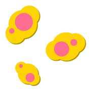 Flora 16.png