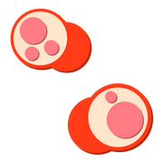 Flora 24.png