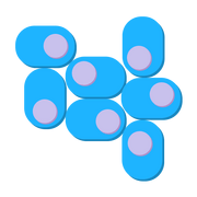 Flora 11.png