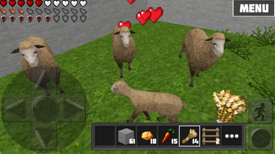 Sheep2