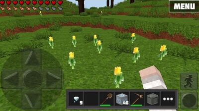 Flowers.jpg
