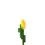 Flower 1.png