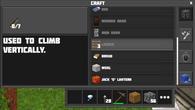 Ladders.jpg