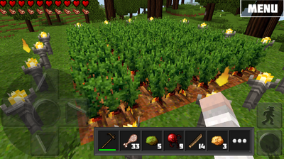 Carrotfarming.png