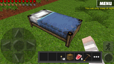 Bedsleapday.png