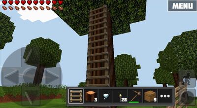 LADDERS22.jpg