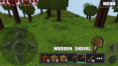 Dirtwithgrass21.jpg