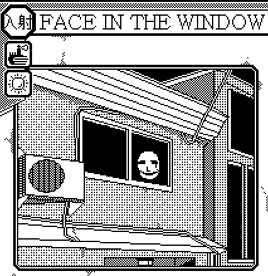 Face in the window