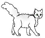 Białeskrzydło kociak.png (4 KB) Jako koteczka