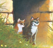 Wygląd na starszej angielskiej okładce "Ciszy przed burzą"