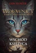 Okładka polskiej wersji językowej