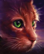 Wygląd angielskiej nowszej okładce "Świtu"