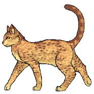 Leafstar Wojownik.png (13 KB) Jako wojowniczka