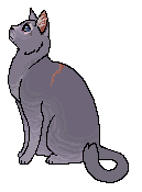 Alternatywny wygląd z okładki "Przepowiedni Błękitnej Gwiazdy"