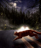 Droga Grzmotu w polskim ilustrowanym wydaniu "Ucieczki w dzicz"