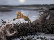 Pełna wersja okładki chińskiej wersji językowej (chiński tradycyjny)