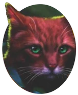 Pinestar.NO-11.png (97 KB) Wygląd na angielskiej okładce "Wyboru Sosnowej Gwiazdy"