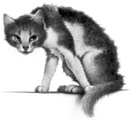 Cloudstar 1.png (62 KB) Wygląd w "Przewodniku po bitwach"