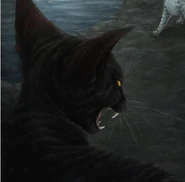 Wygląd na karcie kolekcjonerskiej z edycji kolekcjonerskiej "Przemijających ech" autorstwa Poke