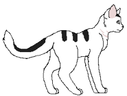 Sosna Wloczega.png (4 KB) Jako włóczęga