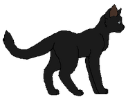 Czarny