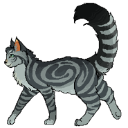 PierzastyogonzCWKR.png (13 KB) Alternatywny wygląd z polskiej okładki "Cienia w Klanie Rzeki"