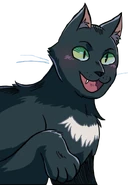 Krucza apa Wojownicy Wiki Fandom krucza-apa-wojownicy-wiki-fandom
