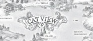 Wygląd na przedrukowanych angielskich mapach