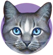 Cloudstar Nowela.png (99 KB) Wygląd na okładce "Tułaczki Chmurnej Gwiazdy"