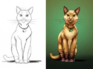 Wygląd na koncept arcie