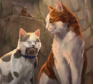 Leaf PKN.png (742 KB) Wygląd na polskiej okładce "Przeznaczenia Klanu Nieba" (po prawej stronie)