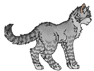 Karaluch Wloczega.png (13 KB) Jako włóczęga