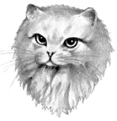 Riverstar.FG-1.png (29 KB) Wygląd w "Sekretach klanów"