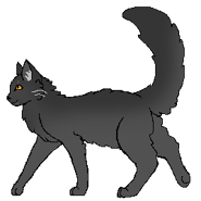 Splashheart W.png (8 KB) Jako wojownik