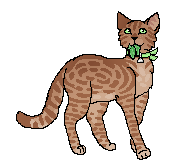 Frecklewish Apprentice.png (10 KB) Jako uczennica medyka
