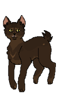 Kaszlącypysk Starclan.png (5 KB) W Klanie Gwiazdy