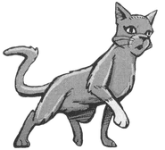 Wygląd w mandze "Burza Jeżynowej Gwiazdy"