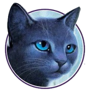 Wygląd z angielskiej okładki "Przepowiedni Błękitnej Gwiazdy"