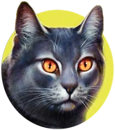 Wygląd na starszej okładce "Szlaku Słońca"