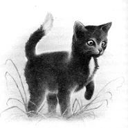 Kodeks Klanów.png (1,14 MB) Wygląd w "Kodeksie klanów"