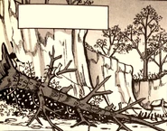 Legowisko wojowników