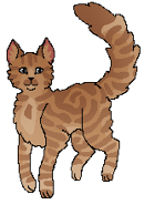 Birchstar Starclannn.png (13 KB) W Klanie Gwiazdy