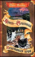 Gniew Burzy Wojownicy Wiki Fandom gniew-burzy-wojownicy-wiki-fandom