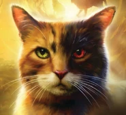 Wygląd na angielskiej okładce "W pogoni za cieniami"